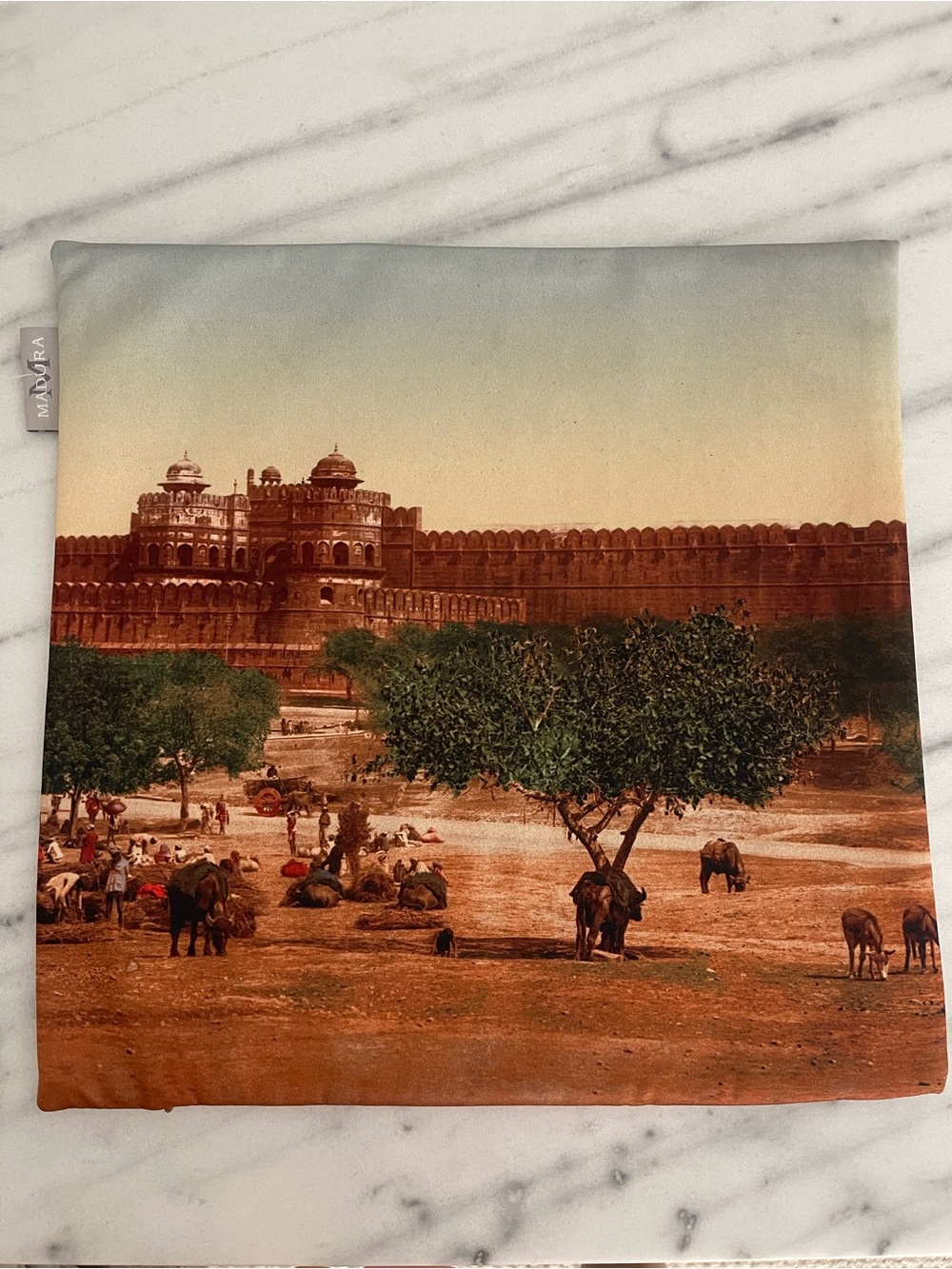 Scenic Printed Pillow Cover w Historic red fort Agra India Agra fort pillow case